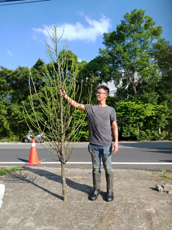 jeff的第二张照片--建宁相亲网